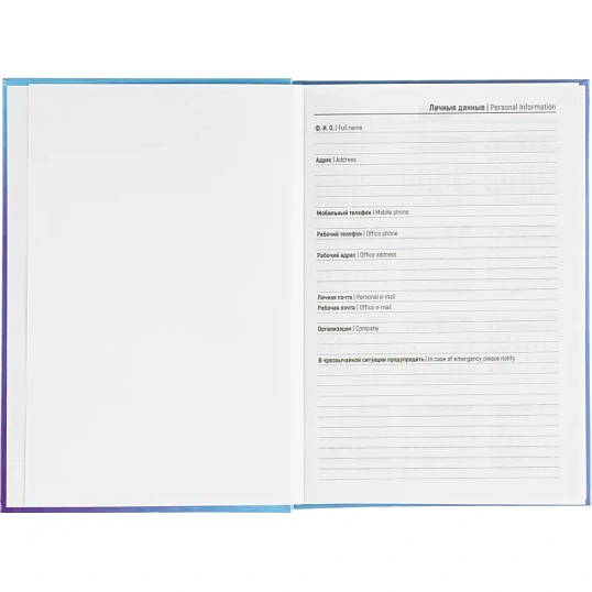 Ежедневник датированный 2026 Выбор есть, А5, 160л, 7БЦ, Isoline