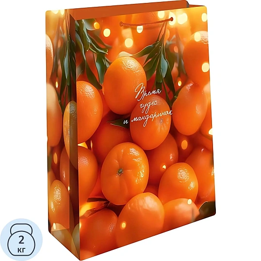 Пакет подарочный НГ АВ 26х32х12см, 0193.588к