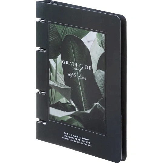 Тетрадь общая, BS, А5, 120л., клетка, кольца, Botanica, банан рамка N4763