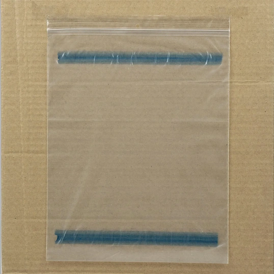 Пакет для сопр.док. из прозр.п/э ZIP-Lock С4, 235х300, 250 шт/уп