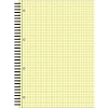 Бизнес-тетрадь 80л,кл,А4,Yellow Pad,спираль,тон.блок 70г/м
