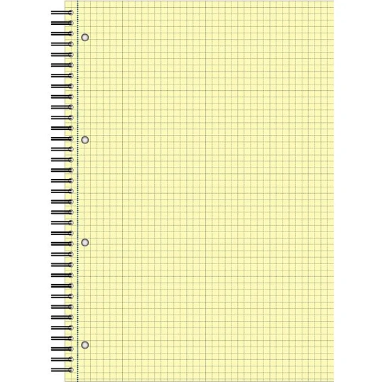 Бизнес-тетрадь 80л,кл,А4,Yellow Pad,спираль,тон.блок 70г/м