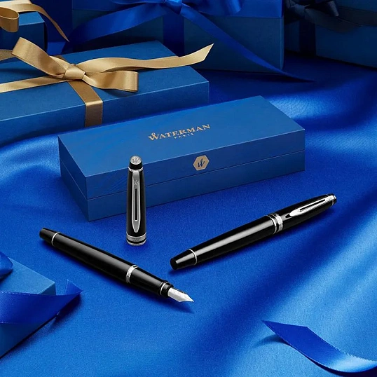 Ручка перьевая WATERMAN EXPERT S0951640 черн. корп, син чернила 0,5мм Франц