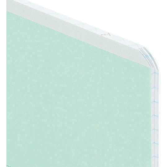Тетрадь КЛЕТКА 18л.проз.плас.обл.plastic cover КЛАССИКА NEW ЗЕЛЕНАЯ,18-1396