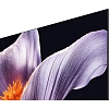 Телевизор Xiaomi TV S Pro Mini LED 55 2026 (L55MB-SRU)