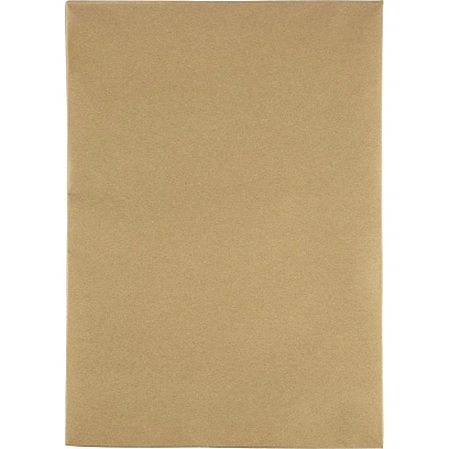 Картон белый для подшивки докум.Выбор есть А3 немел.260 г/м2 100л/уп.крафт