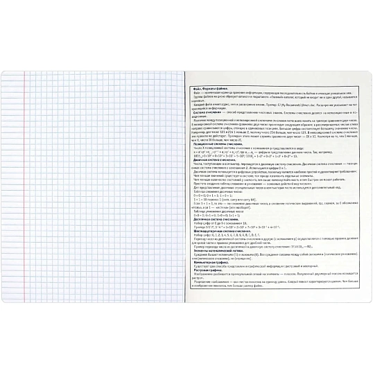 Тетрадь предметнaя ИНФОРМАТИКА 'КОТЫ МЕМЫ' 48 л, А5+,клетка,справ.инф/69827