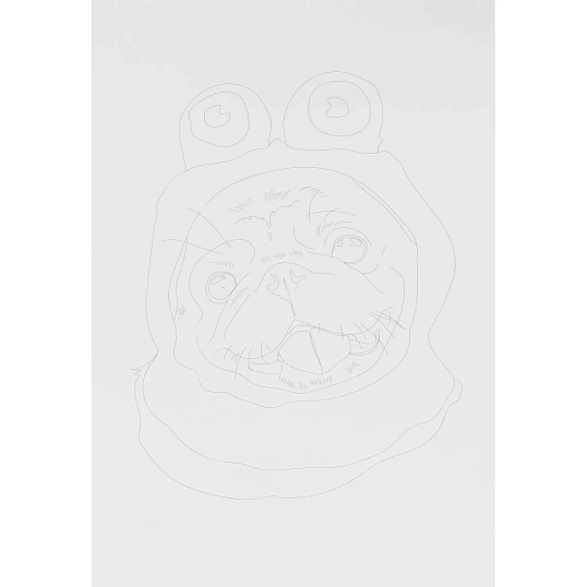 Набор для рисования Скетчинг акварелью Модные пёсики, Рн-044