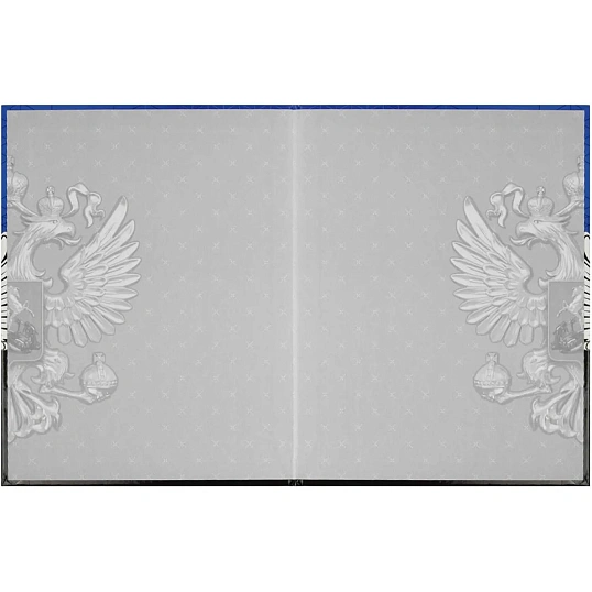 Дневник школьника  ГЕРБ А5+,48л,глянц.66841