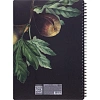 Тетрадь общая, BS, А4, 96л., клетка, мягкий, спираль. Flora, инжир, N4283