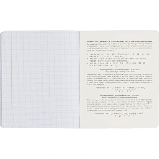 Тетрадь предметная набор Комус Класс  Котики 12 шт., 48., А5