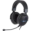 Гарнитура Acer AHW120 черный 2.1м USB (ZL.HDSCC.01C)
