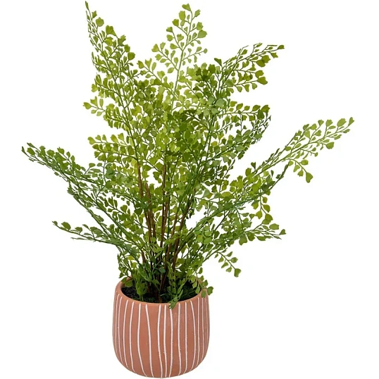 Цветок искусственный Папоротник курчавый в керам горшке,Д120Ш120 В480,Mia11