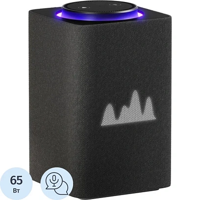 Умная колонка Яндекс Станция Макс Zigbee, графит/black (YNDX-00053K)