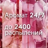 Освежитель воздуха автоматический Glade+смен.баллон Пион и сочн ягоды 269мл