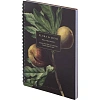 Тетрадь общая, BS, А5, 80л., клетка, спираль. Flora, инжир N4184