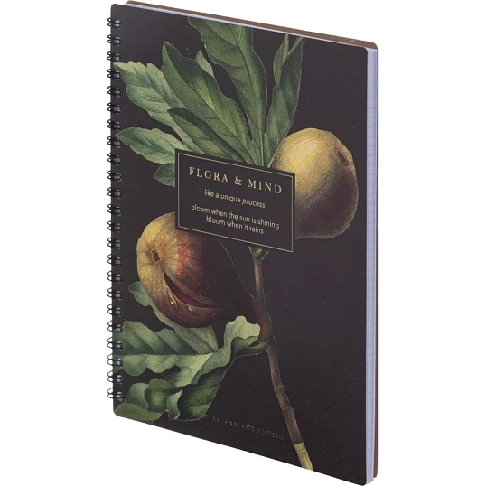 Тетрадь общая, BS, А5, 80л., клетка, спираль. Flora, инжир N4184