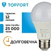 Лампа светодиодная Topfort E27 10W 3000K груша