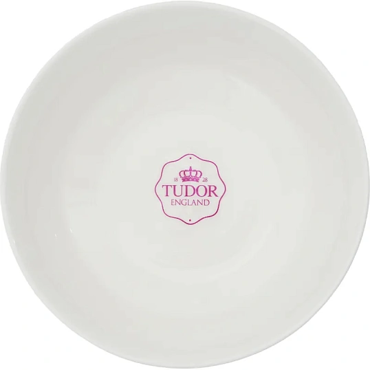Салатник TUDOR ENGLAND Royal Circle 16см 6шт/уп