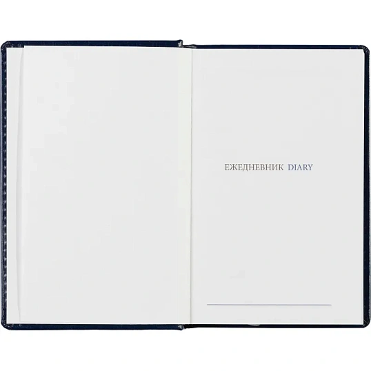 Ежедневник недатированный синий, А6,100x150, 320стр, Agenda