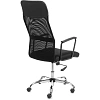 Кресло ТЧ Комус Мебель Easy Chair 619, сетка/экокожа, черный, хром