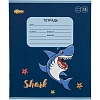 Тетрадь школьная А5 12л №1School Shark линия,скреп, ВД-лак,10шт/уп, в асс