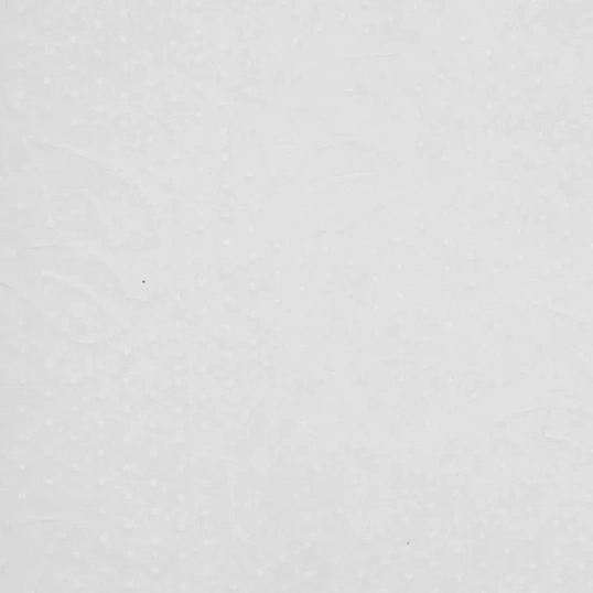 Бумага протирочная Protissue 1000л/рул 350м С241 2рул/уп