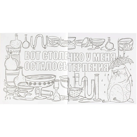 Раскраска от стресса 16+ 2шт/уп, 225х225 мм, 16 л, в ас-те, 74943