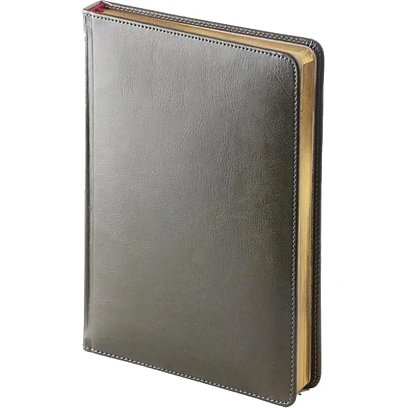 Ежедневник недатированный серый,А5,145х205мм,136л, Sidney NEBRASKA 3-128/09