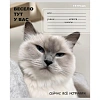 Тетрадь КЛЕТКА 24л. ЗАБАВНЫЕ КОТЫ - 6 цвет.мелов.обл.,ассорти 24-0896