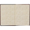 Ежедневник недатированный коричнев,А5,145х205,136л,Sidney NEBRASKA 3-128/03