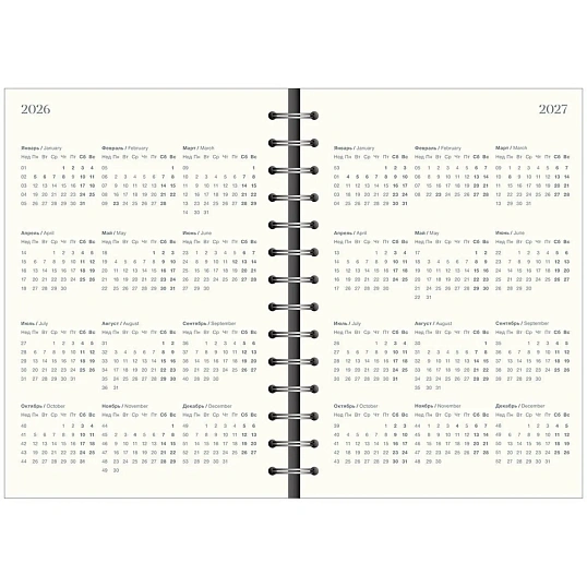 Ежедневник датированный 2026 IF 14х20см 160л, на спир, Basic I1751emb/blue