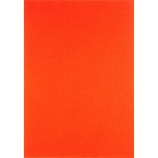 Папка для пастелей А4 8л 4цв Страна чудес.Сон в маковом поле П-1868