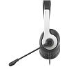 Гарнитура A4Tech Fstyler (FH100U (PANDA)) белый/черный 2м накладные USB