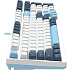 Клавиатура A4Tech Fstyler(FS300 PANDA SNOWBOARDING)мех.бел/син USB gam.LED