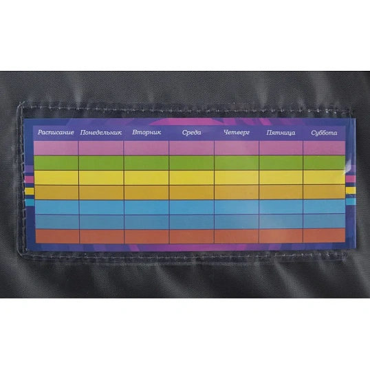 Ранец Basic T-Rex, 2 отд., эргоном. спинка, светящийся кант