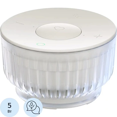 Умная колонка SberBoom Mini 2, неоновый серый (SBDV-00250G)