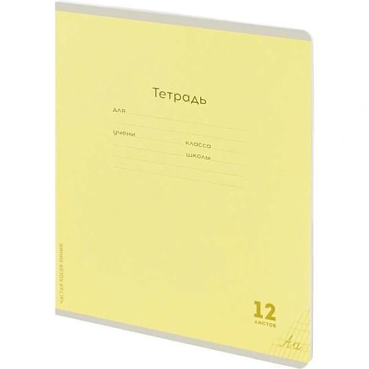Тетрадь ЧАСТАЯ КОСАЯ ЛИНИЯ 12л. КЛАССИКА NEW цвет.мелов.обл,ассорти,12-9281