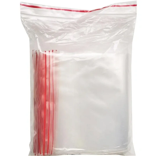 Пакет с замком (Zip Lock) с европодвесом 18 х 25 см, 60 мкм, 100 шт/уп