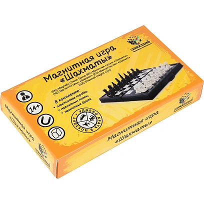 Игра настольная (магнитная) Шахматы, DELFBRICK, DLN-01