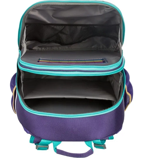 Ранец Basic Meow, 2 отд., эргоном. спинка, экокожа