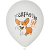 Набор шаров WHITE&ORANGE Корги СДР 5шт/уп в ассортимен M 12/30см 6073138