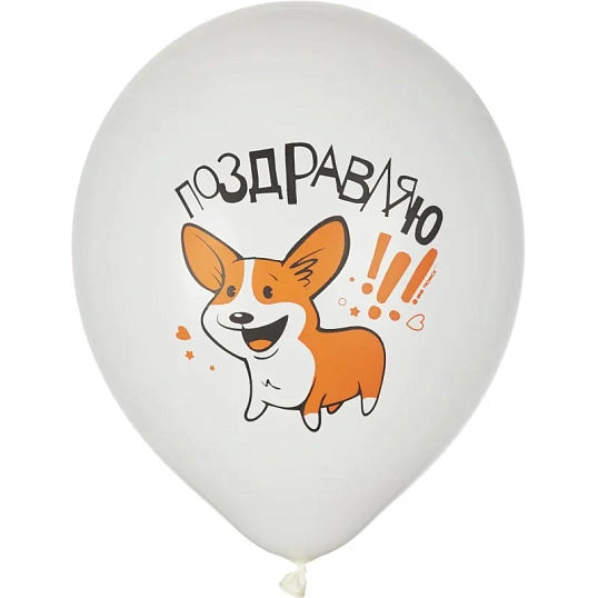 Набор шаров WHITE&ORANGE Корги СДР 5шт/уп в ассортимен M 12/30см 6073138