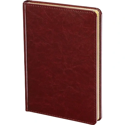 Ежедневник недатированный А5, Sidney Nebraska бордовый, 136 л. 3-128/01