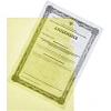 Папка уголок Attache Economy п/э цв. E-100/123T желтая Россия 10 шт/уп
