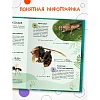 Энциклопедия детская  Животные МС14323