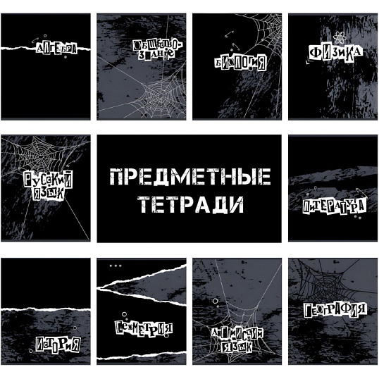 Тетрадь предметная набор №1 School/Комус Класс Панк 48л А5 10 предметов