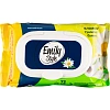 Бумага туалетная влажная Emily Style растворяющаяся,с крышкой 72шт/уп