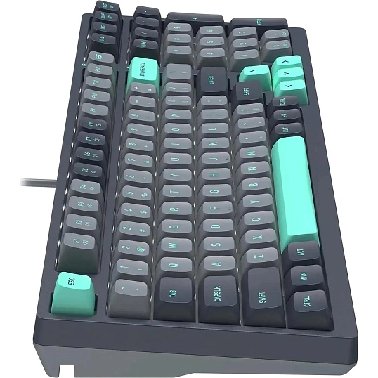 Клавиатура A4Tech Fstyler (FS300 PANDA ROCK)механич. чер/сер USB gamer LED