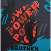 Ранец Basic Brother bear, 2 отд., эргоном. спинка